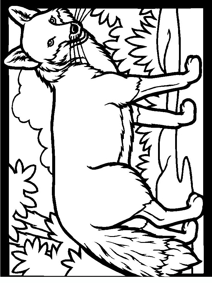 g fox co coloring pages - photo #47