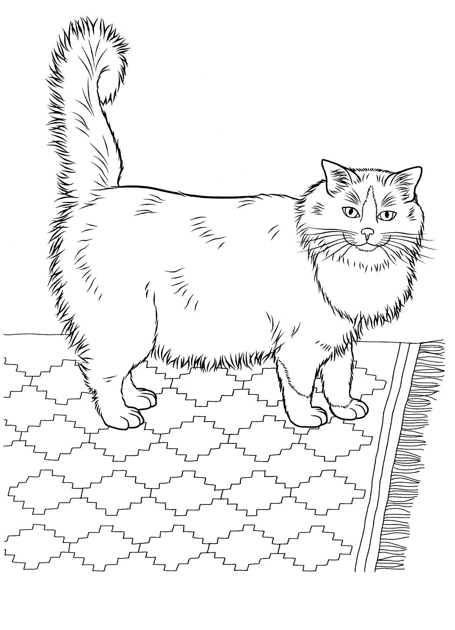 hard coloring pages of cats - photo #25