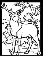 disegni/animali_del_bosco/color-deer1.JPG