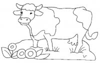 disegni/animali_della_fattoria/mucca_cow_2.jpg