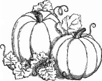 disegni/autunno/pumpkins.gif