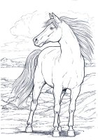 disegni/cavalli/cavallo_11.jpg