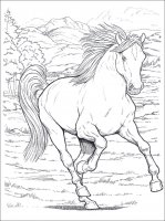 disegni/cavalli/cavallo_2.jpg