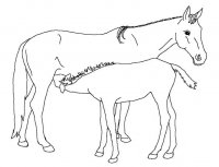 disegni/cavalli/cavallo_46.jpg