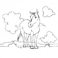 disegni/cavalli/cavallo_52.jpg