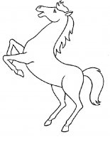 disegni/cavalli/cavallo_77.jpg