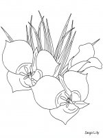 disegni/fiori/fiori_76.JPG