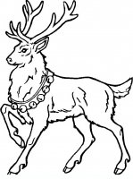 disegni/animali_del_bosco/animali_c14.JPG