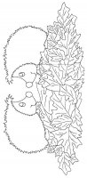 disegni/animali_del_bosco/riccio.jpg
