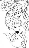 disegni/animali_del_bosco/ricco_12.jpg