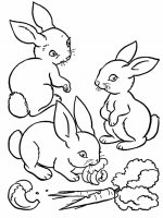 disegni/animali_della_fattoria/bunnies.jpg