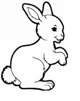 disegni/animali_della_fattoria/coniglio_rabbit.jpg