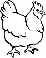 disegni/animali_della_fattoria/gallina_hen.jpg