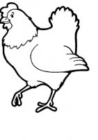 disegni/animali_della_fattoria/hen.jpg