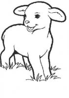 disegni/animali_della_fattoria/lamb_agnellino.jpg