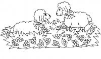 disegni/animali_della_fattoria/lambs.jpg