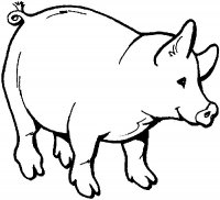 disegni/animali_della_fattoria/maiale_pig.jpg