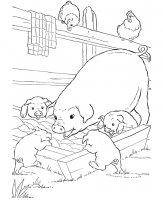 disegni/animali_della_fattoria/maialini_pigs.jpg