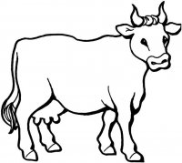 disegni/animali_della_fattoria/mucca_cow.jpg