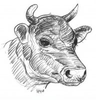 disegni/animali_della_fattoria/mucche_18.JPG