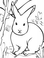 disegni/animali_della_fattoria/rabbit.jpg