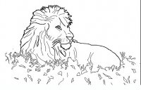 disegni/animali_della_savana/animali_savana_10.JPG