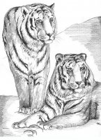 disegni/animali_della_savana/animali_savana_38.JPG