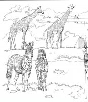 disegni/animali_della_savana/animali_savana_6.JPG