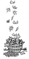 disegni/autunno/Leaves.JPG
