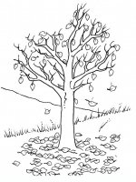 disegni/autunno/autunno9650.JPG