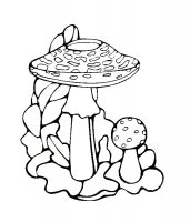 disegni/autunno/autunno_funghi.jpg