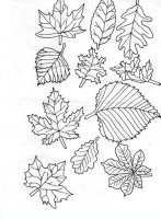 disegni/autunno/autunno_x86.JPG