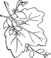 disegni/autunno/leaf_fruits.gif