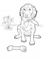 disegni/cane/cane_da_colorare_13.jpg