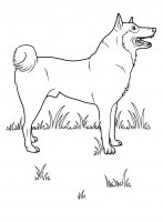 disegni/cane/cane_da_colorare_20.jpg