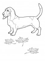 disegni/cane/cane_da_colorare_27.jpg