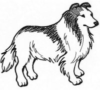 disegni/cane/lassie.jpg