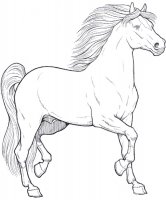 disegni/cavalli/cavallo_1.jpg