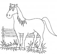 disegni/cavalli/cavallo_100.jpg