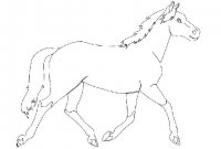 disegni/cavalli/cavallo_101.jpg