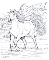 disegni/cavalli/cavallo_12.jpg