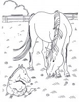disegni/cavalli/cavallo_16.jpg