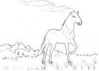 disegni/cavalli/cavallo_18.jpg