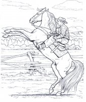 disegni/cavalli/cavallo_20.jpg