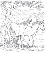 disegni/cavalli/cavallo_4.jpg