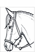 disegni/cavalli/cavallo_44.jpg