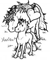 disegni/cavalli/cavallo_49.jpg