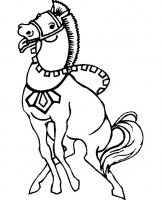 disegni/cavalli/cavallo_50.jpg