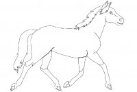 disegni/cavalli/cavallo_56.jpg