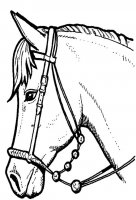 disegni/cavalli/cavallo_57.jpg